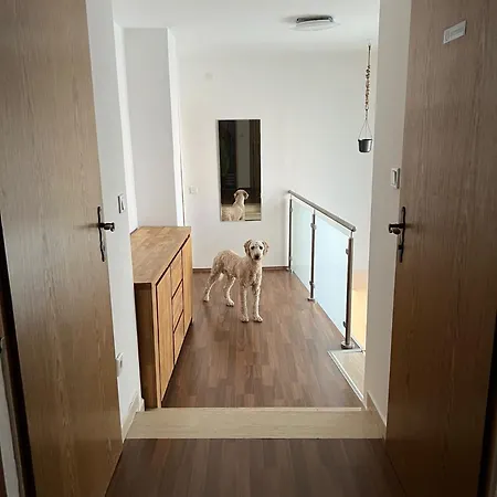 Wachau Apartament Hundsheim